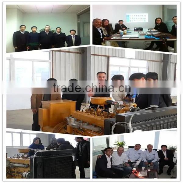 Wood chips Used High efficient CE ISO Siemens Alternator wood gas generator 400KW with syngas power plant