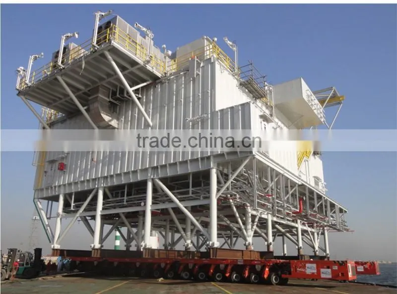 SPMT self propelled modular trailer (DCMC)