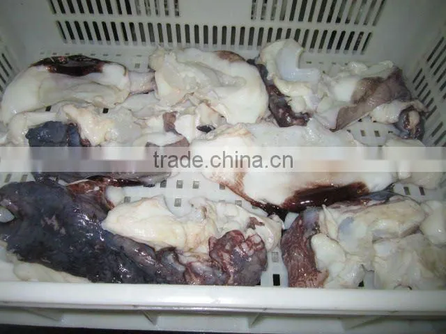 giant frozen squid neck
