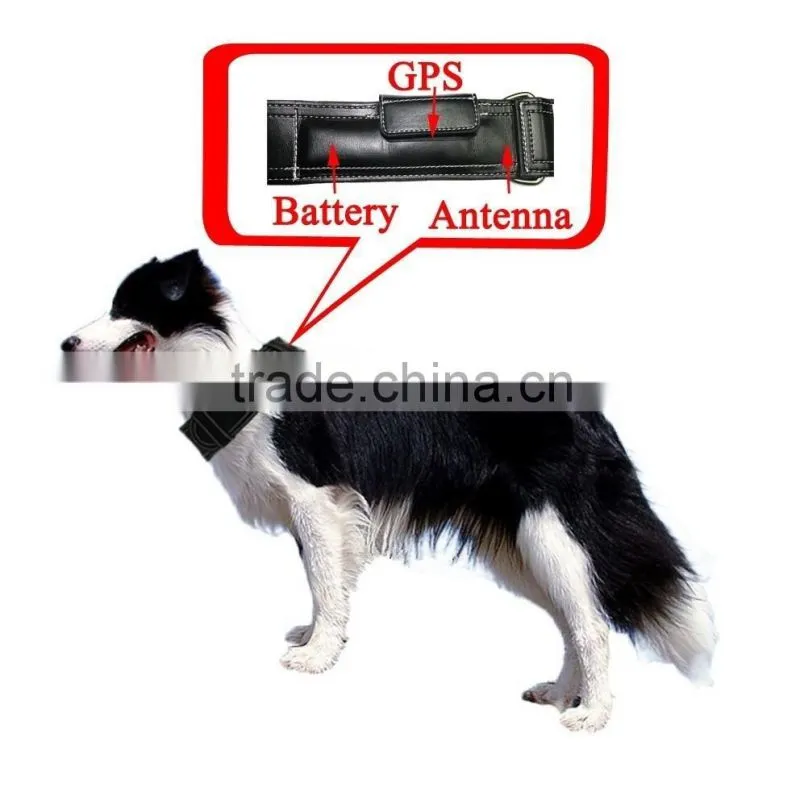 2013 hotest GPS tracking chip for dogs , GPS dog collar
