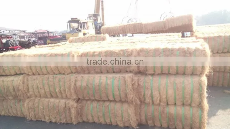 Coconut Fiber QQ: 2598494113