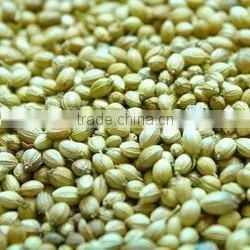 Dried Coriander Seed