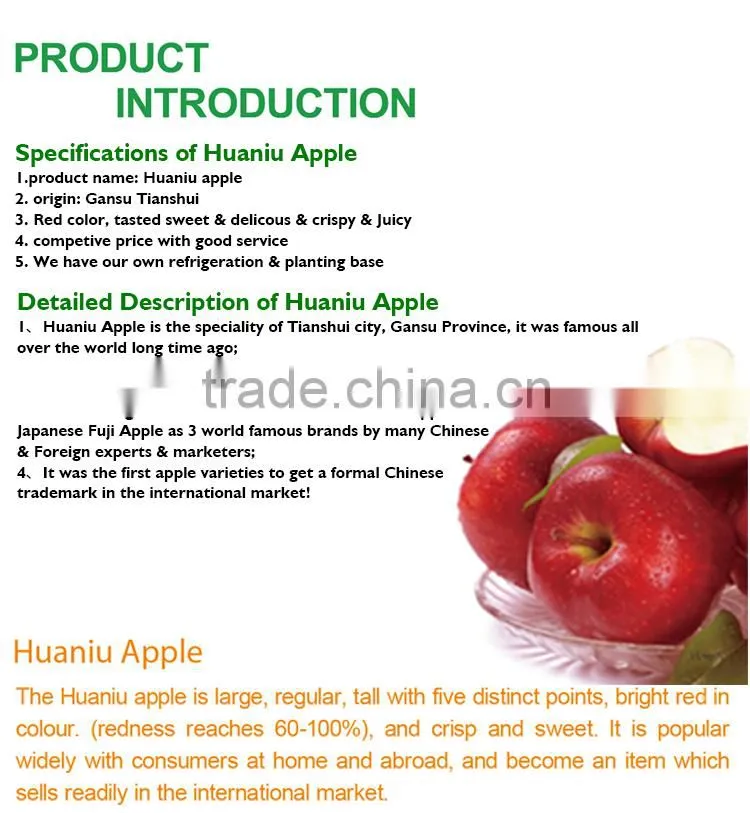 2016 New crop New season Huaniu apple Fresh apple China Gansu Tianshui Huaniu apple
