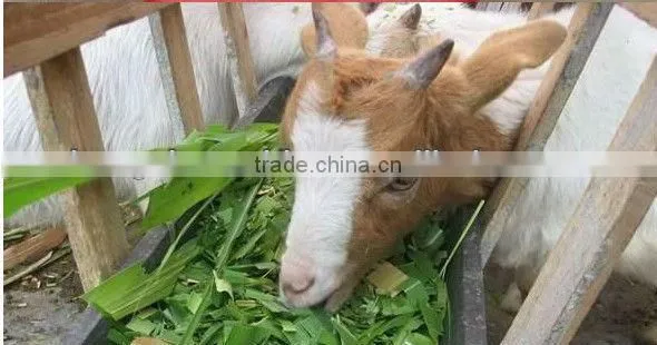 small portable chaff,stalk,straw hay,grass cutting/crushing machine 0086-15238010724