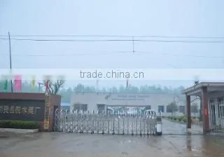 Linyi Peace Dehydrated Vegetables Co., Ltd. company overview - view 1