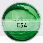 SQ03 Cuili excellent disease resistant f1 hybrid seeds of squash seeds