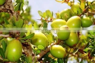 Argan Oil