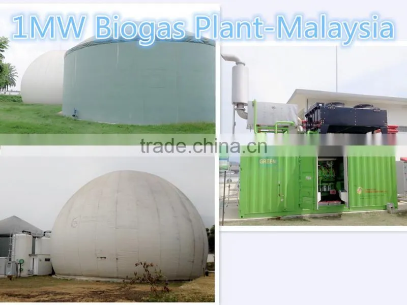 1MW New Energy Chicken Farm Waste Biogas Power Plant in Malaysia