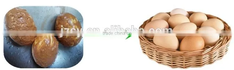 big capacity washing egg machine / egg washer for poultry farm