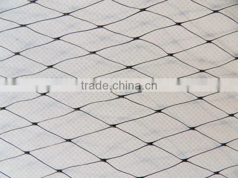 PE nets Anti Bird Netting(Extruded)