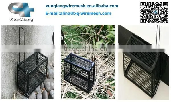 rat mouse trap cage