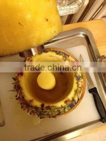 Easy Tool Stainless Steel Fruit Pineapple Corer Slicer Peeler Cut