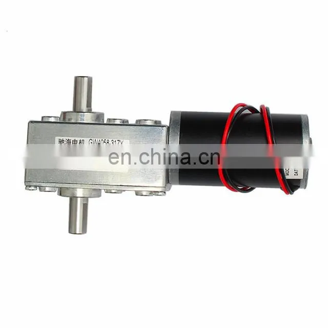 ChiHai Motor CHW-GW4058-31ZY 8mm shaft DC Worm Gear Motor with dual shaft 12V 24V Self Locking