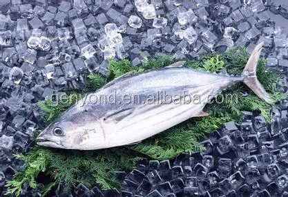 Fish Skin Scaler Machine/ Fish Scale Removing Machine/ Fish Descaler Machine
