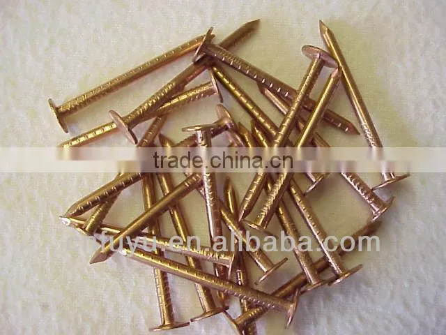 zinc plated clout nail for ceiling factory of linyi shandong