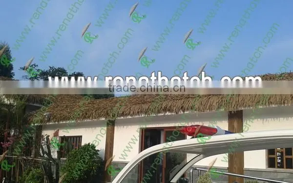 palm leaves roof