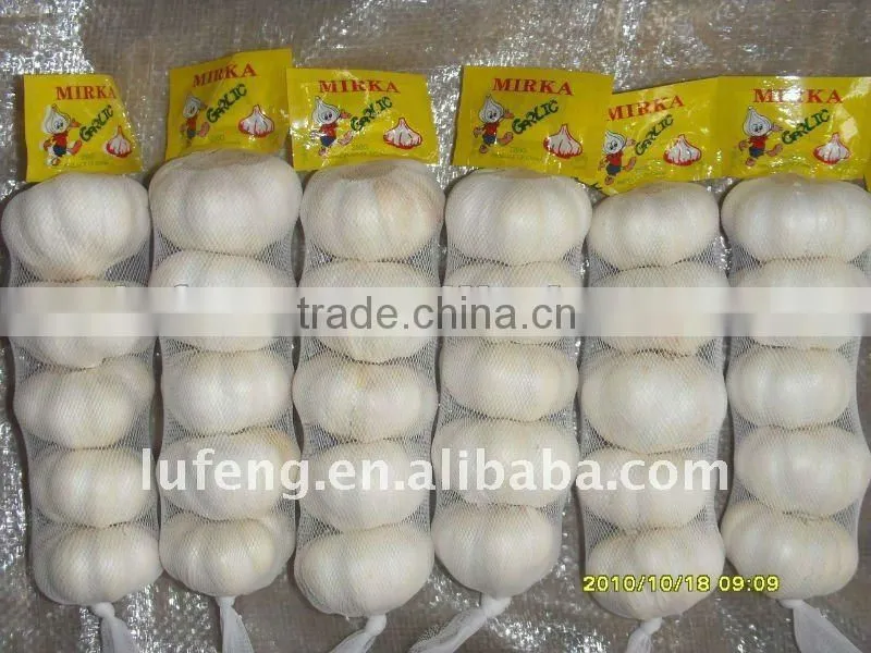 chinese snow white garlic