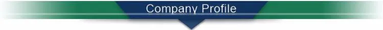 pvc polyester adult raincoat