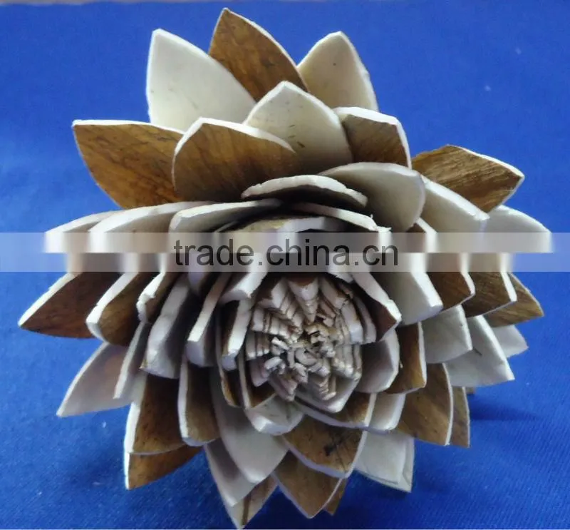 sola flower