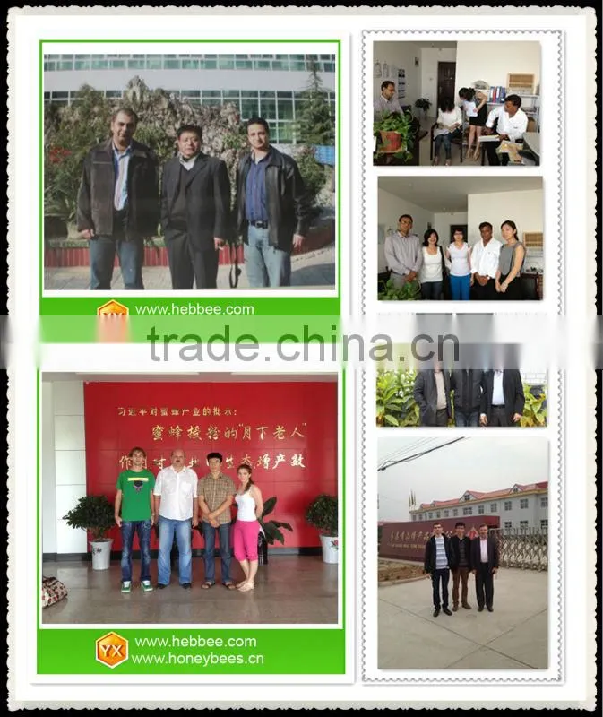bee products exporter bee wax