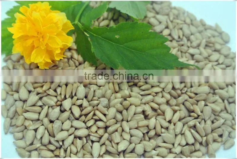 shelled sunflower seeds , sunflower kernel