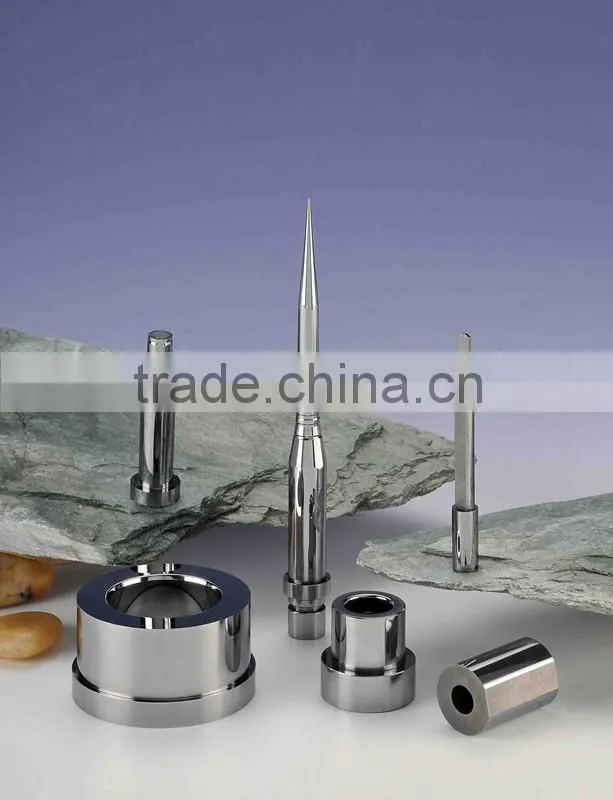 China factory specialized in precision components date mark inserts for die casting mold