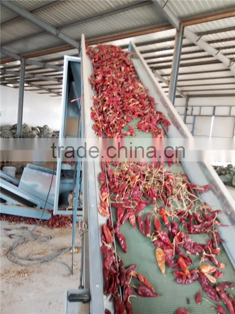 more convenient and stable pepper nail clean machine