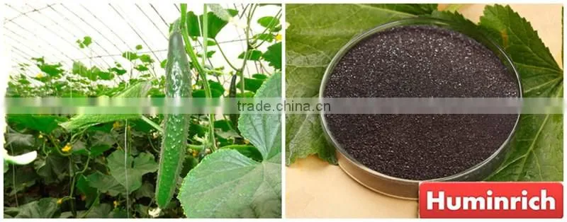 Huminrich Enhances Soil Fertility 55HA+12%K2O Potassium Humate Fertilizer For Greenhouse