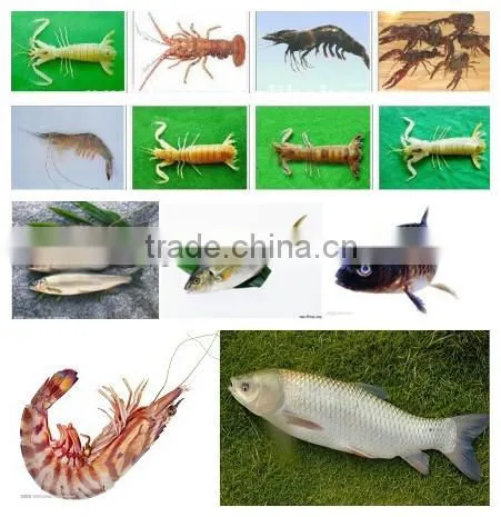 fish meal cooking pressing drying machine line for fish meal and oil fish meal production line