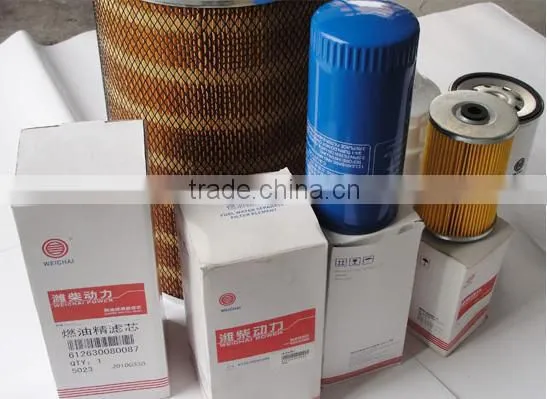 Weichai Deutz engine Spare Part fuel filter 12272453