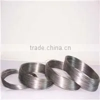 high quality tungsten wire mesh
