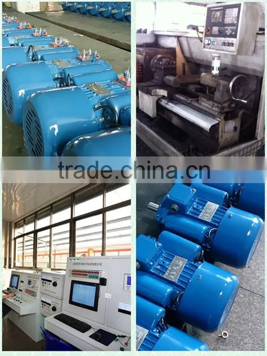 Single Phase ac motor 230v 100w