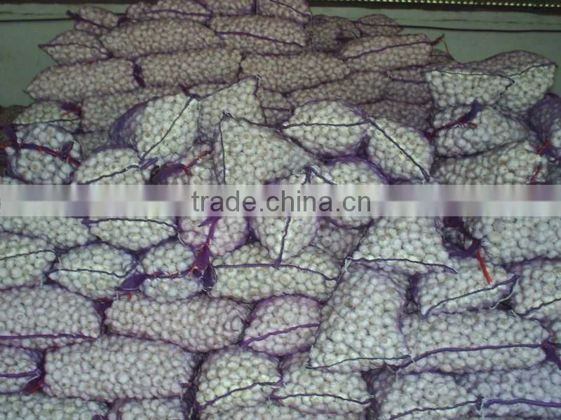 2012 crop pure white garlic in retail packing
