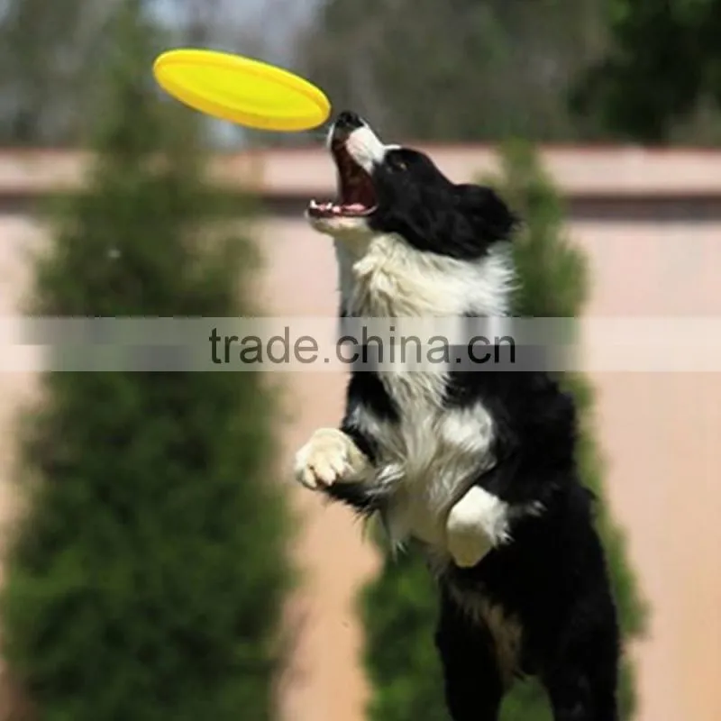 2015 funny outdoor playing dog silicone Flying Disc