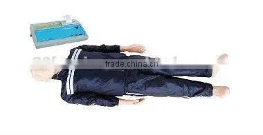 human body model,DAPPER DAN TORSO 14-PARTS