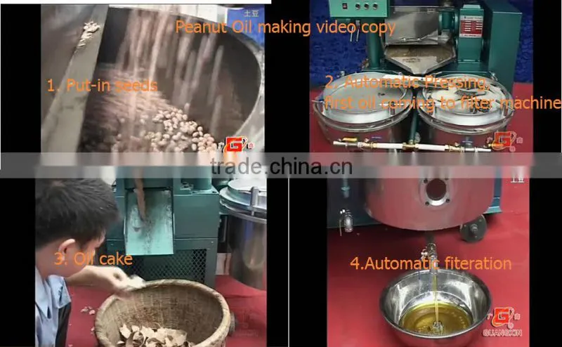 YLJZ50*1 SS steel made Vacumm edible sesame oil filter machine