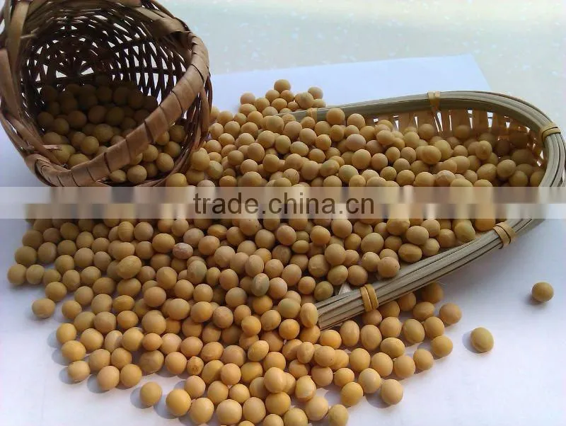 Soybean/soya bean, soybean seeds, soya bean seeds( 2010 crop, heilongjiang origin)