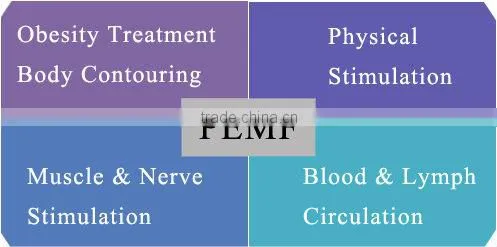 Slimmig weight loss beauty max PEMF Shape
