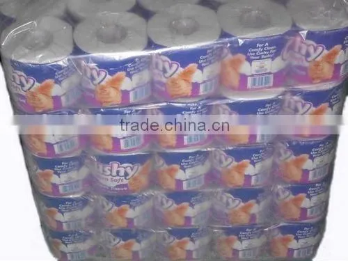 2ply embossed recyled toilet tissue-6rolls/pkt