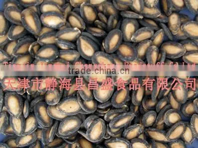 Black watermelon seeds in 11cm, 2013 crop