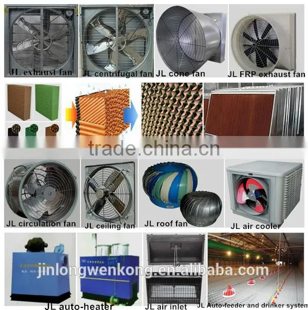 JINLONG Automatic Poultry Feeding Pan System