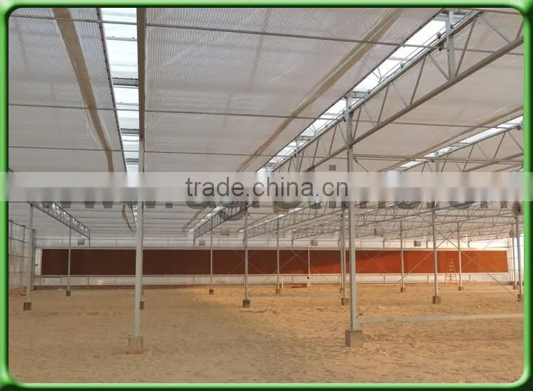 Venlo Greenhouse PC Sheet glass covering hot sale greenhouse/glass greenhouse
