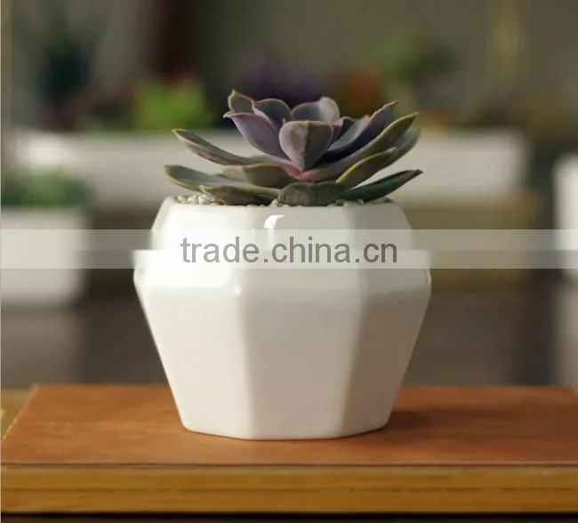 Creative octagon white ceramic small interior decorative pots