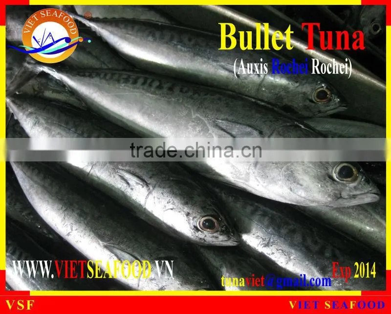 W/R BULLET TUNA