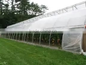 Low Cost Film Covering Hoop Tunnel Greenhouse