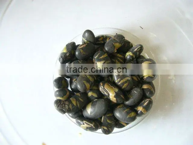 organic roasted soybean