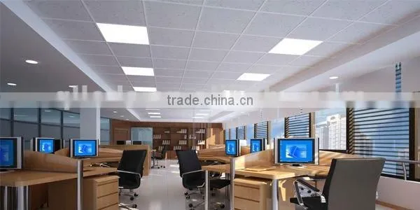 Super Bright 600X1200 LED Panel Video Light