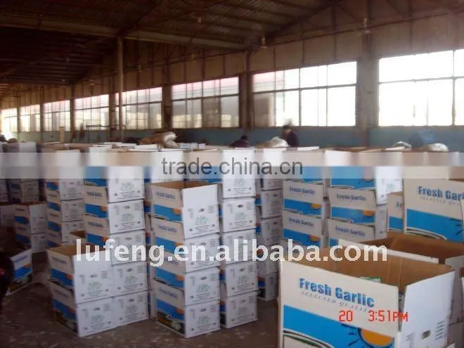 New Crop Normal White Garlic ---Garlic factory /High Quality