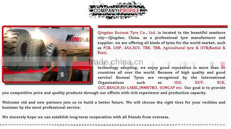 China Suppliers Agriculture Tyre Truck Tyre Otr Tyre