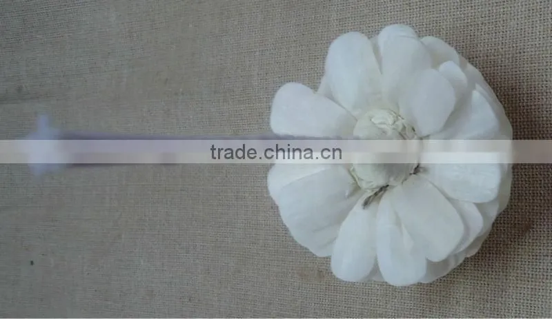 sola flower